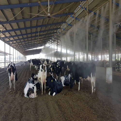 livestock-cooling-systems